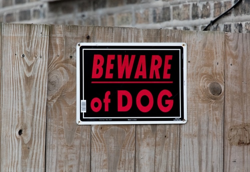 Oakland County Dog Bite Victim Considered Trespasser – Loses Case
