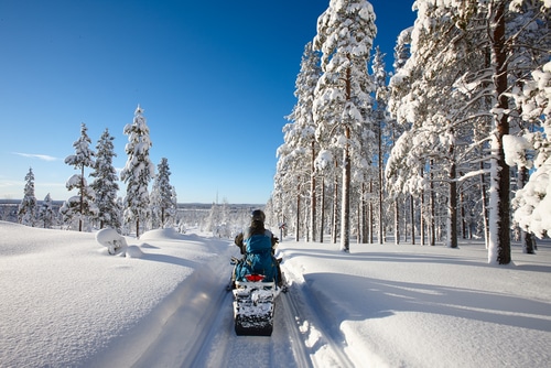 Steinberg snowmobile