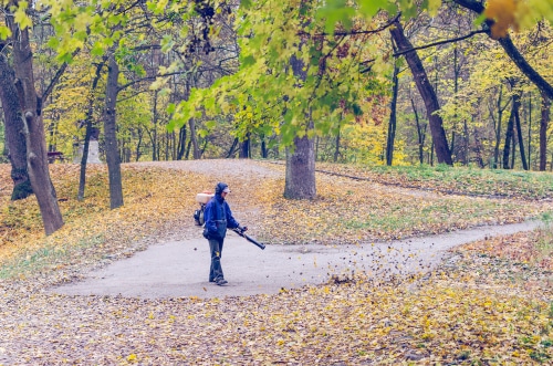 Business Establishments and Home Owners Have a Responsibility to Clean Up Their Leaves