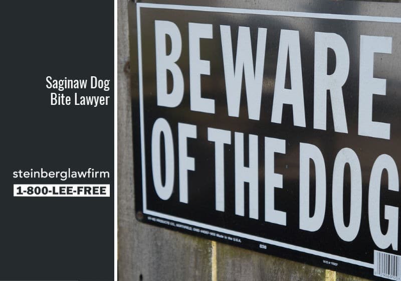 Saginaw Dog Bite Lawyer