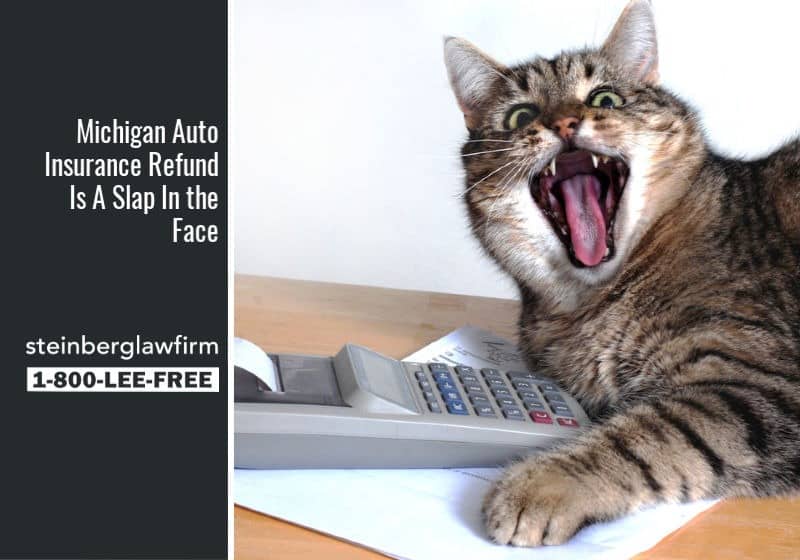 michigan-auto-insurance-refund-is-a-slap-in-the-face-call-lee-free