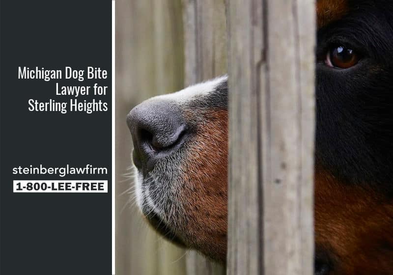 Top Sterling Heights Dog Bite Lawyers