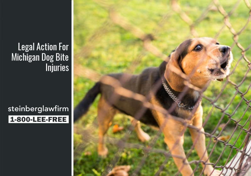 Legal Action You Can Take When Reporting a Dog Bite