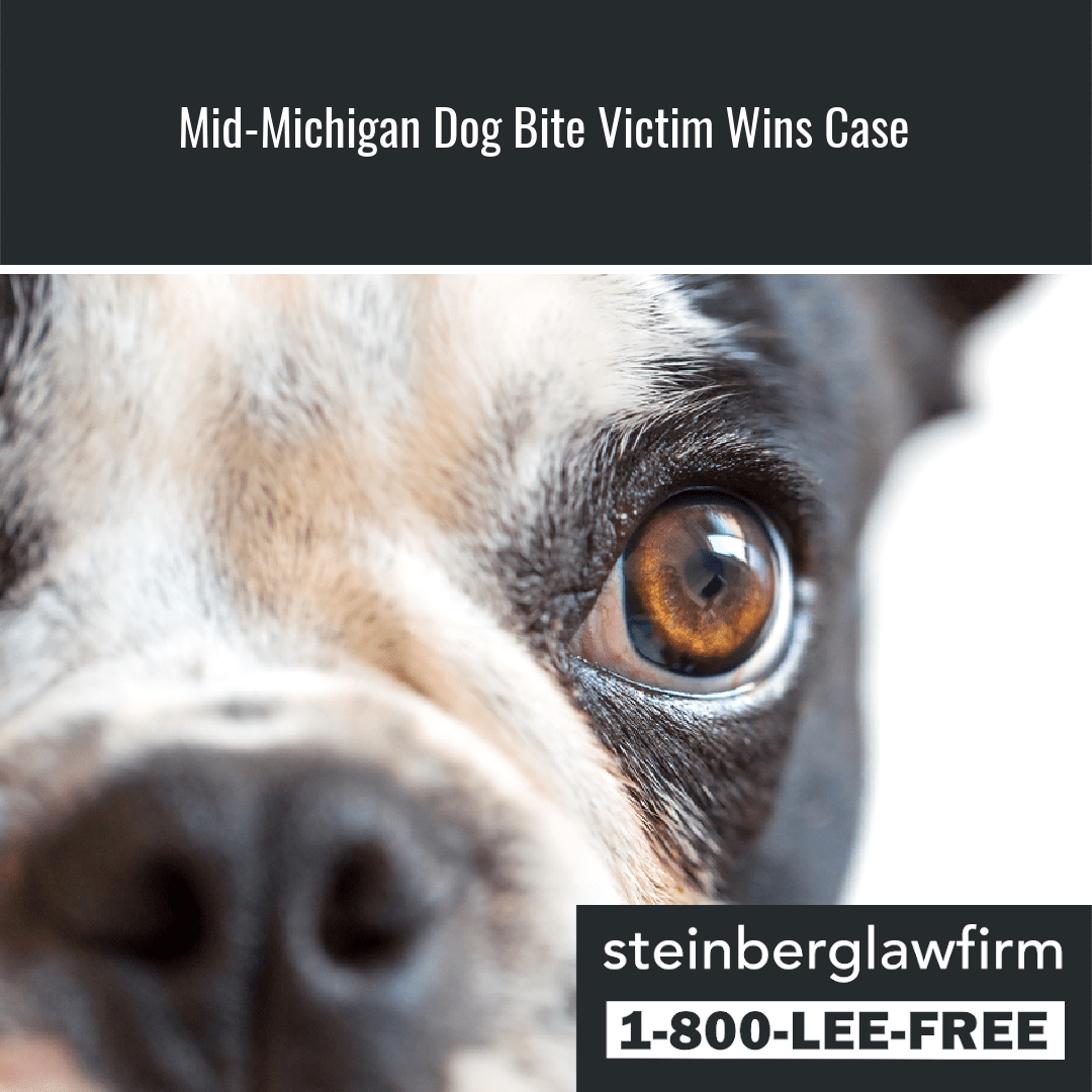 Mid-Michigan Dog Bite Victim Wins Case